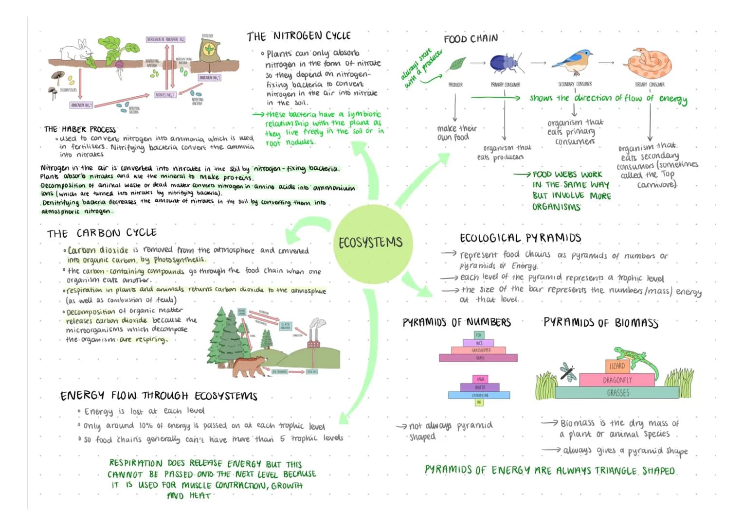 %
DECOMPOSERS
AMIONUM INH
O
MARRA
MEROGINNIN AMOSPHER INJ
DENERING
BACERA
ºn
NIRATES (INC3
WROON FUN
00
NORFING
BACTERA
UN N7
THE NITROGEN C