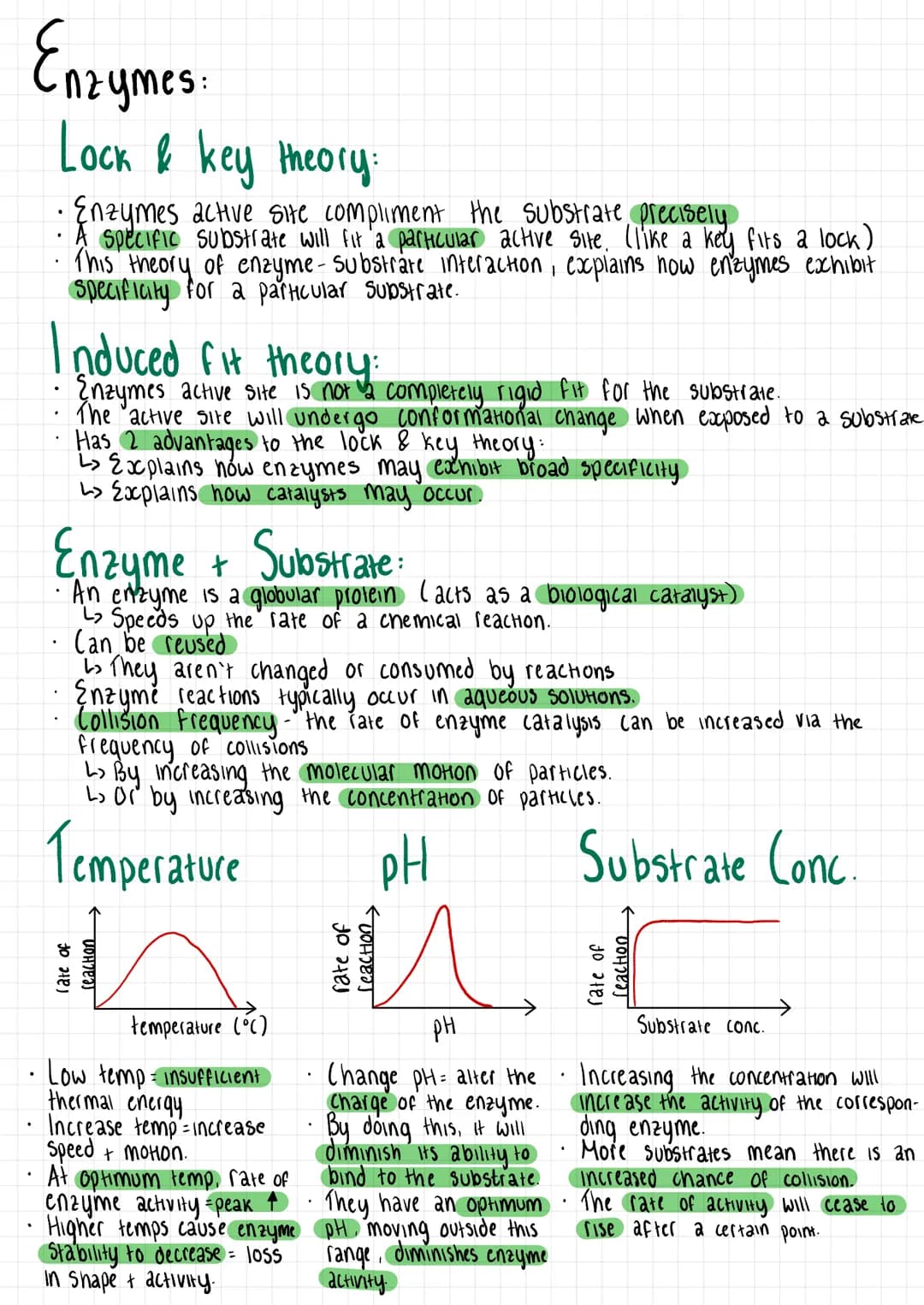 Enzymes:
Lock & key theory.
Enzymes active site compliment the substrate precisely
A Specific substrate will fit a particular active site. (