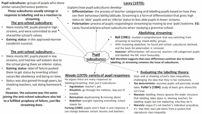 Internal class differences in
achievement Studies show that teacher attach
meanings (labels) to pupils
regardless of their actual ability or
