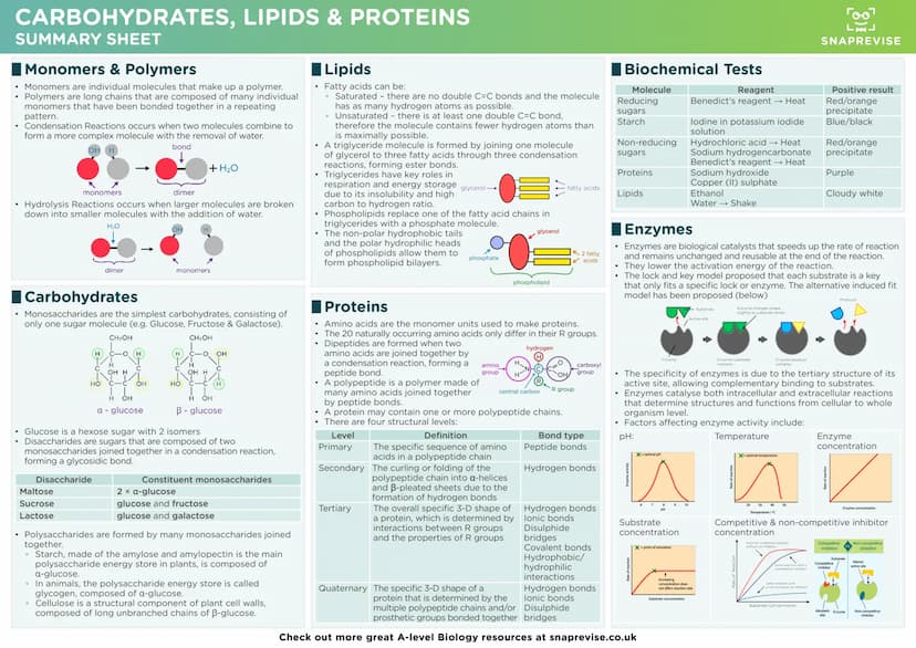 LAJ
SNAPREVISE
A-LEVEL BIOLOGY
SUMMARY SHEETS
AQA SNAPREVISE
A-LEVEL BIOLOGY
IN 200 CARDS
AQA
Revision cards with exam questions
covering th