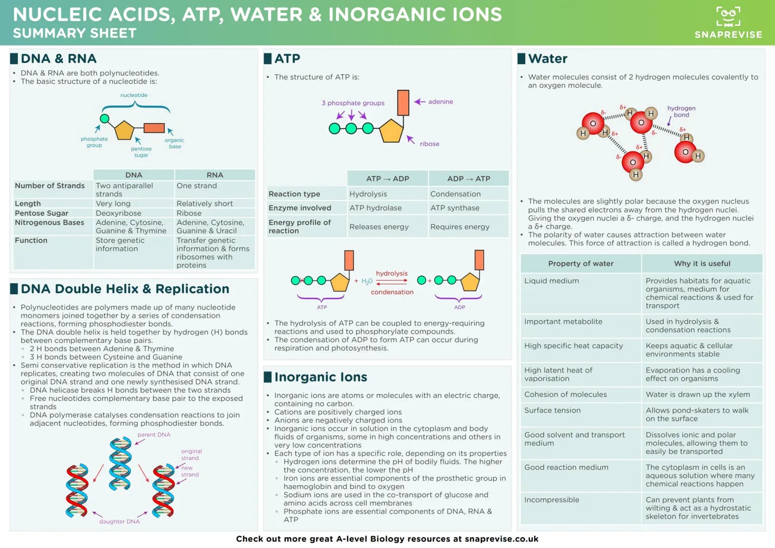 LAJ
SNAPREVISE
A-LEVEL BIOLOGY
SUMMARY SHEETS
AQA SNAPREVISE
A-LEVEL BIOLOGY
IN 200 CARDS
AQA
Revision cards with exam questions
covering th