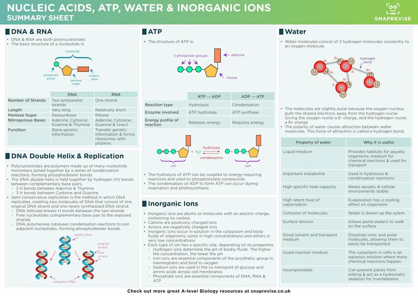 LAJ
SNAPREVISE
A-LEVEL BIOLOGY
SUMMARY SHEETS
AQA SNAPREVISE
A-LEVEL BIOLOGY
IN 200 CARDS
AQA
Revision cards with exam questions
covering th