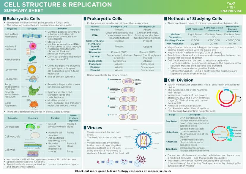 LAJ
SNAPREVISE
A-LEVEL BIOLOGY
SUMMARY SHEETS
AQA SNAPREVISE
A-LEVEL BIOLOGY
IN 200 CARDS
AQA
Revision cards with exam questions
covering th