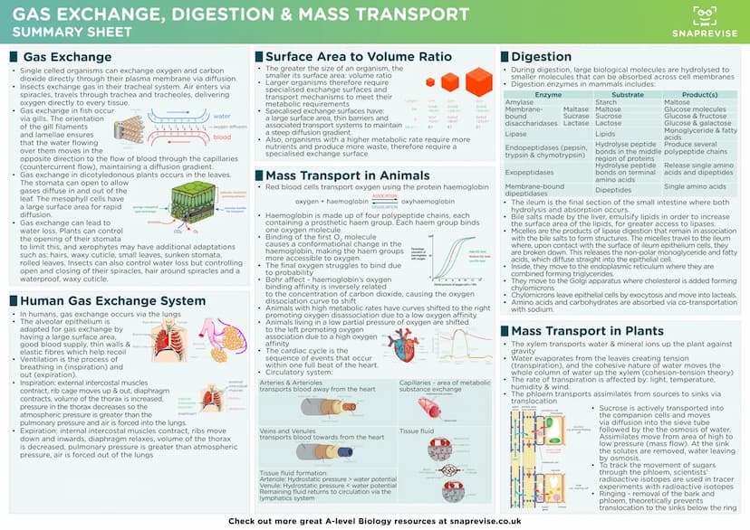 LAJ
SNAPREVISE
A-LEVEL BIOLOGY
SUMMARY SHEETS
AQA SNAPREVISE
A-LEVEL BIOLOGY
IN 200 CARDS
AQA
Revision cards with exam questions
covering th