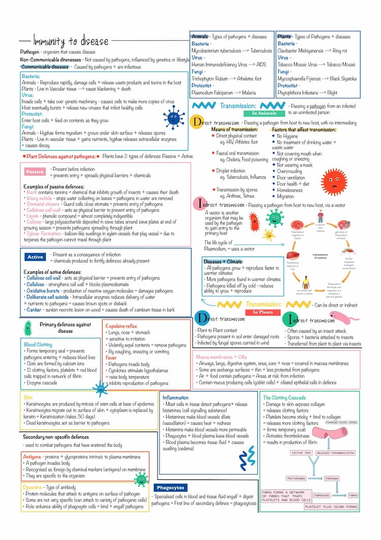 Know Biology Immunity to Disease Revision Notes thumbnail