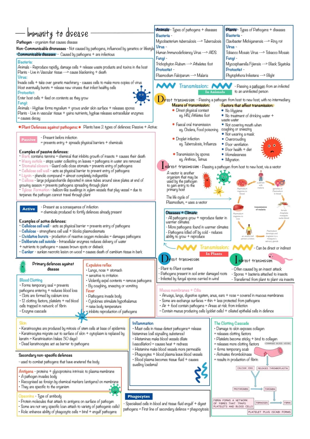 Biology Immunity to Disease Revision Notes