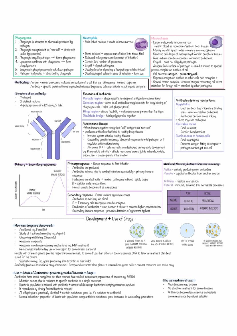 - Immunity to disease
Pathogen-organism that causes disease
Non-Communicable direnesses - Not caused by pathogens, influenced by genetics or
