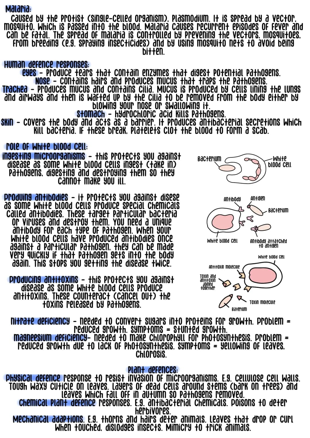 There are two types of diseases:
Communicable - it can be transmitted from one person to another
NON-Communicable - it cannot be transmitted