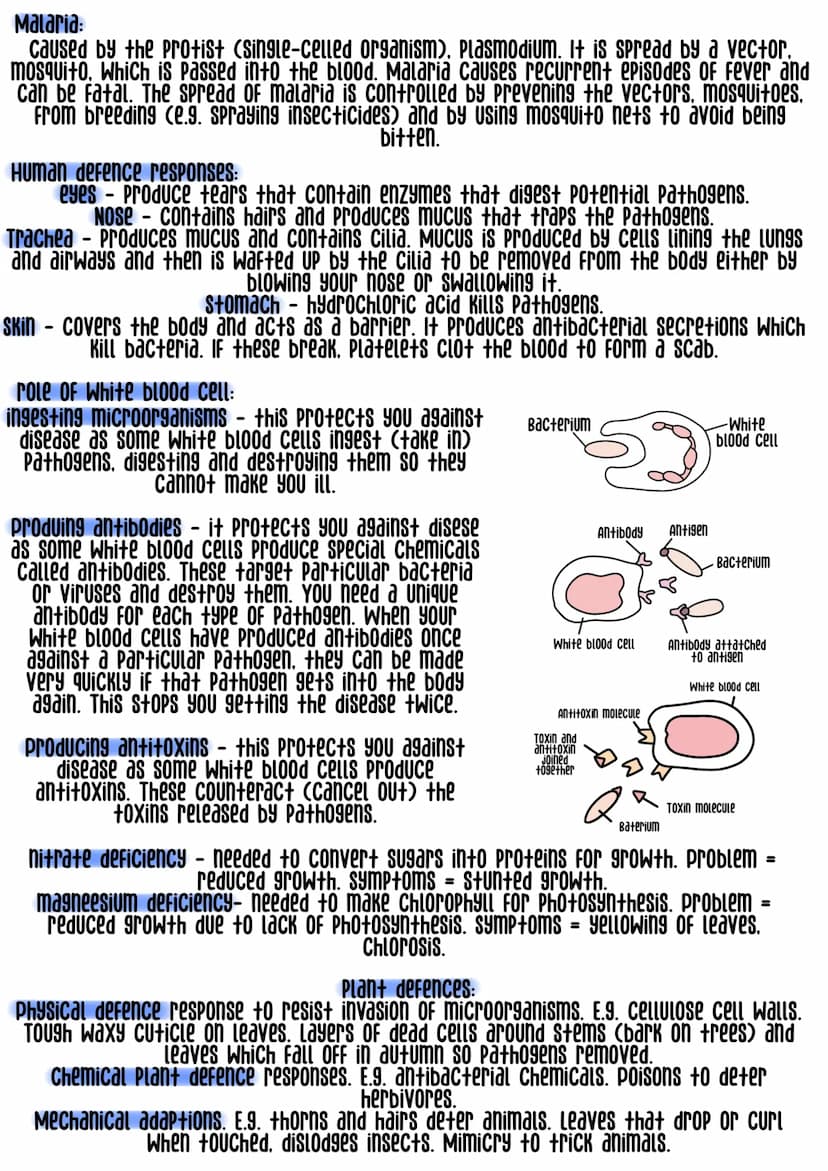 There are two types of diseases:
Communicable - it can be transmitted from one person to another
NON-Communicable - it cannot be transmitted