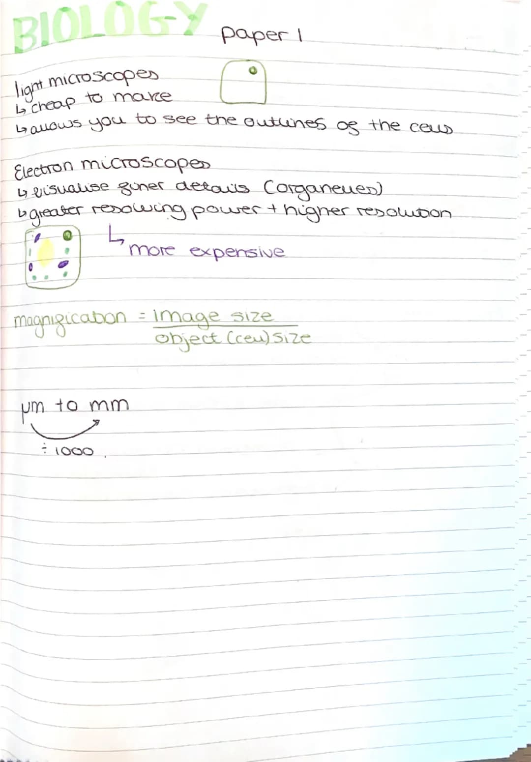 Biology paper 1 - combined science edexcel 