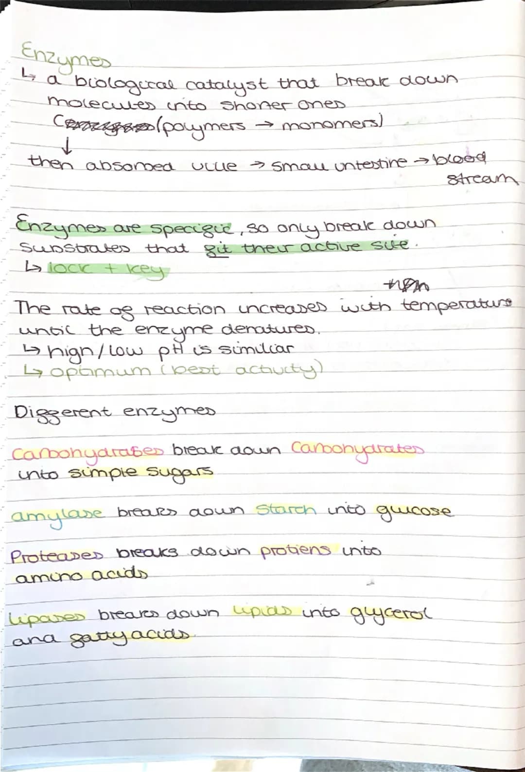 --- OCR Start ---
BIOLOGY
light microscopes
cheap to make
paper I
balows you to see the outlines of the cells
Electron microscopes
4 visuali