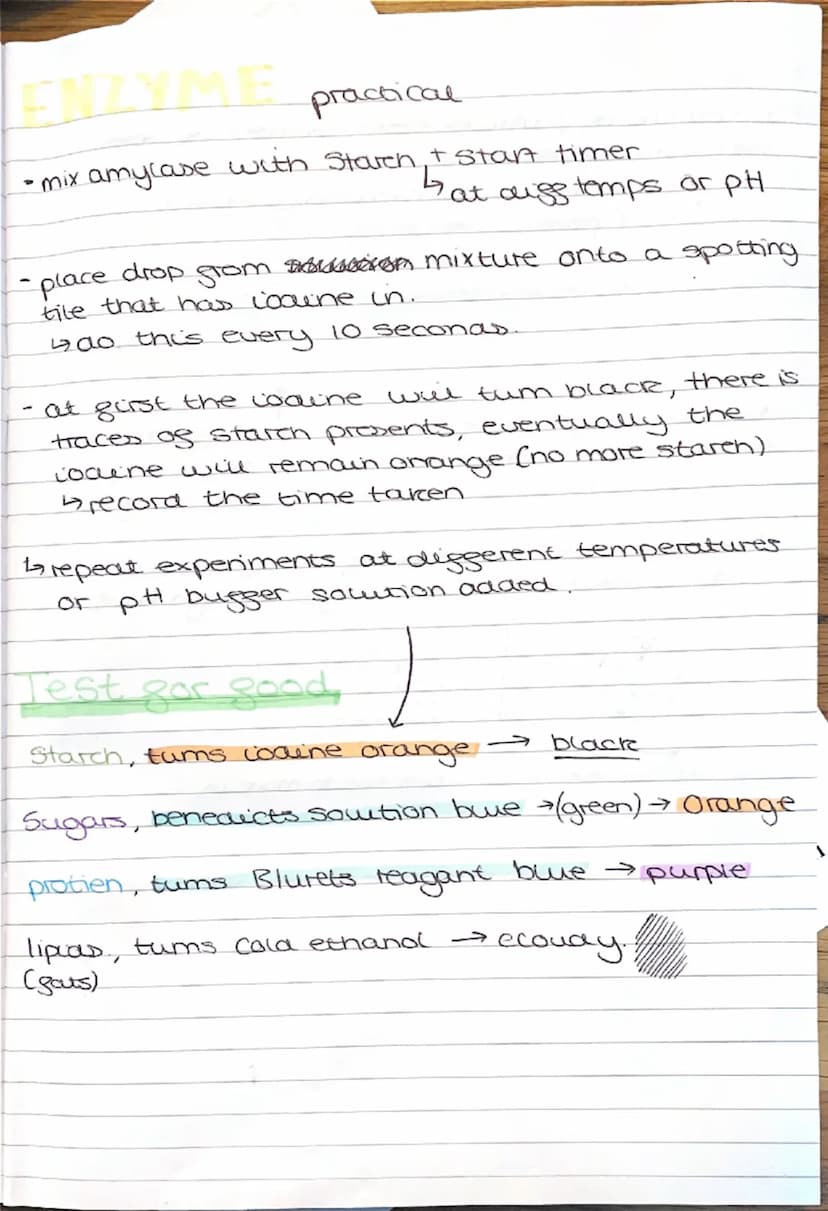 --- OCR Start ---
BIOLOGY
light microscopes
cheap to make
paper I
balows you to see the outlines of the cells
Electron microscopes
4 visuali