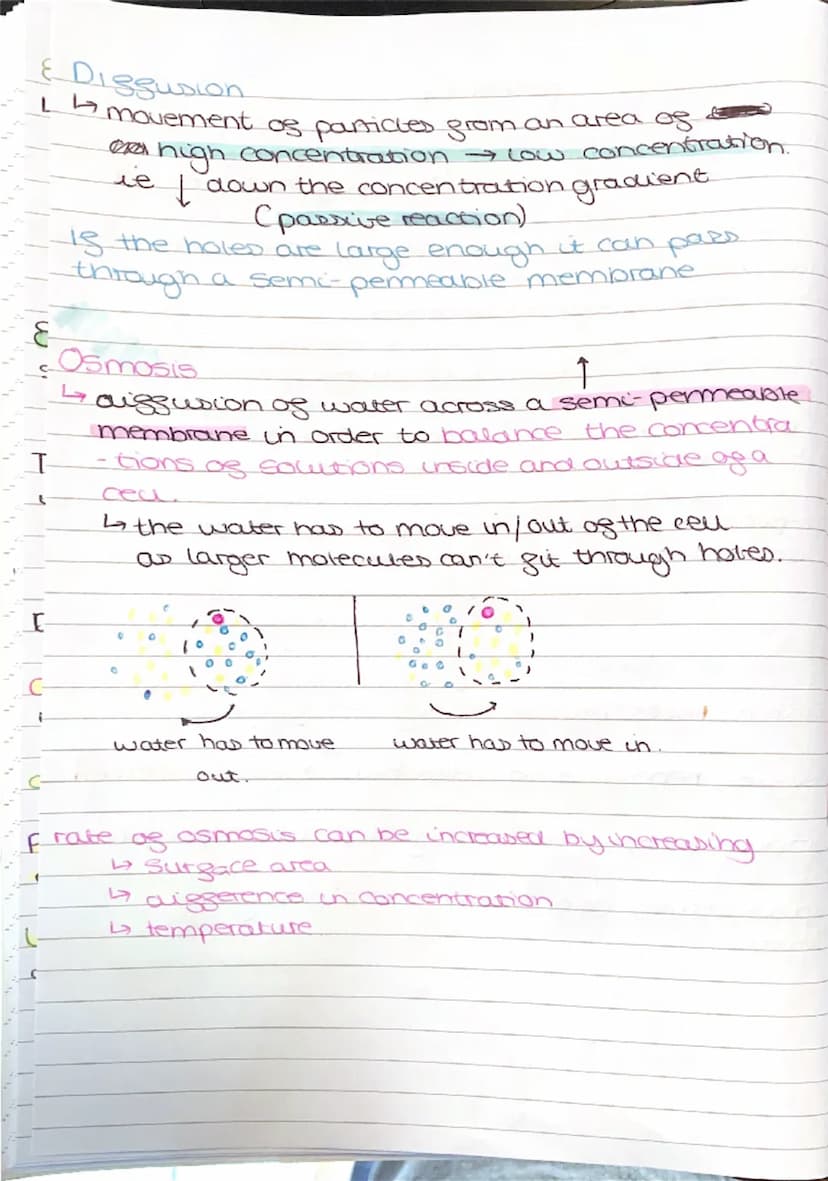 --- OCR Start ---
BIOLOGY
light microscopes
cheap to make
paper I
balows you to see the outlines of the cells
Electron microscopes
4 visuali