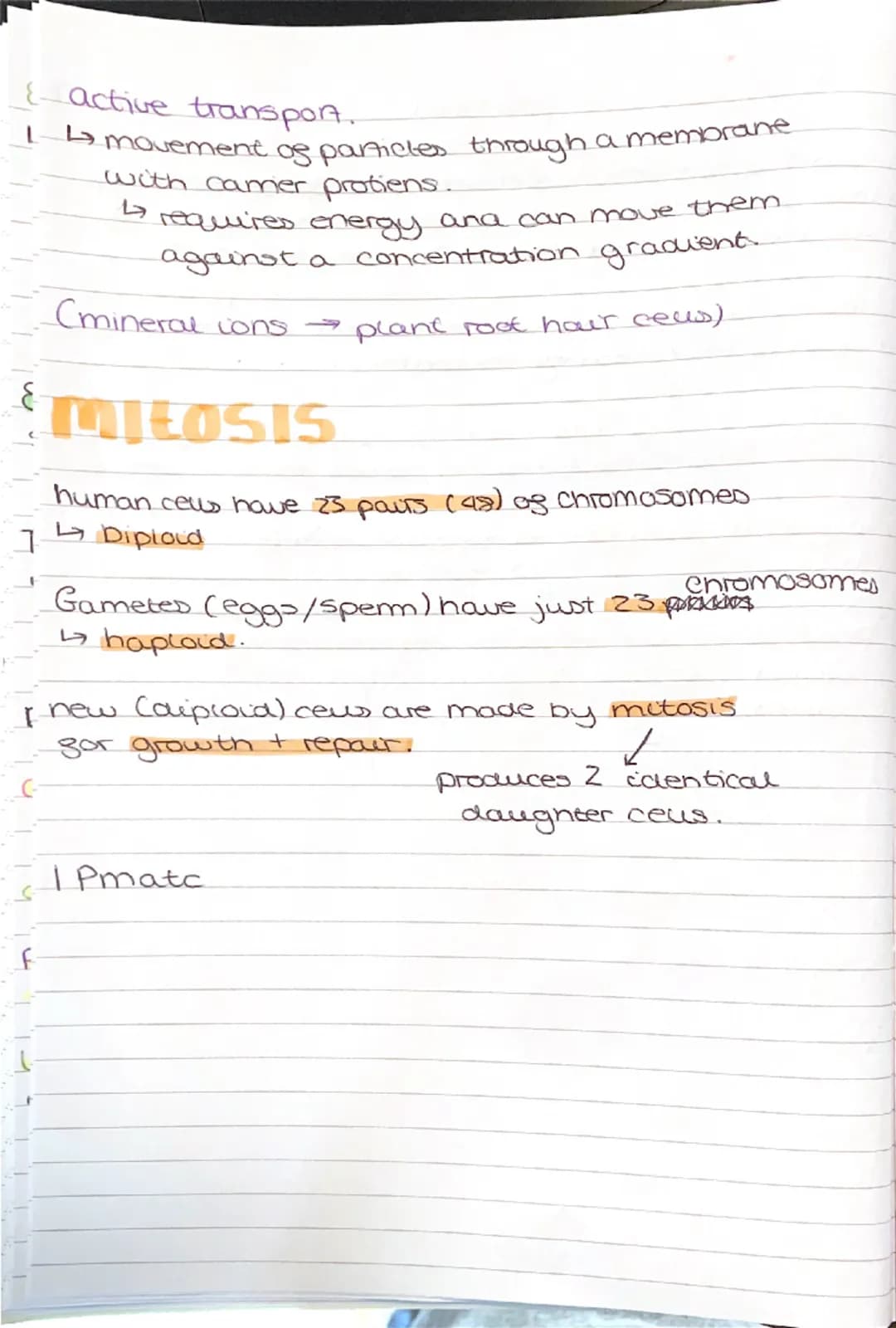 --- OCR Start ---
BIOLOGY
light microscopes
cheap to make
paper I
balows you to see the outlines of the cells
Electron microscopes
4 visuali