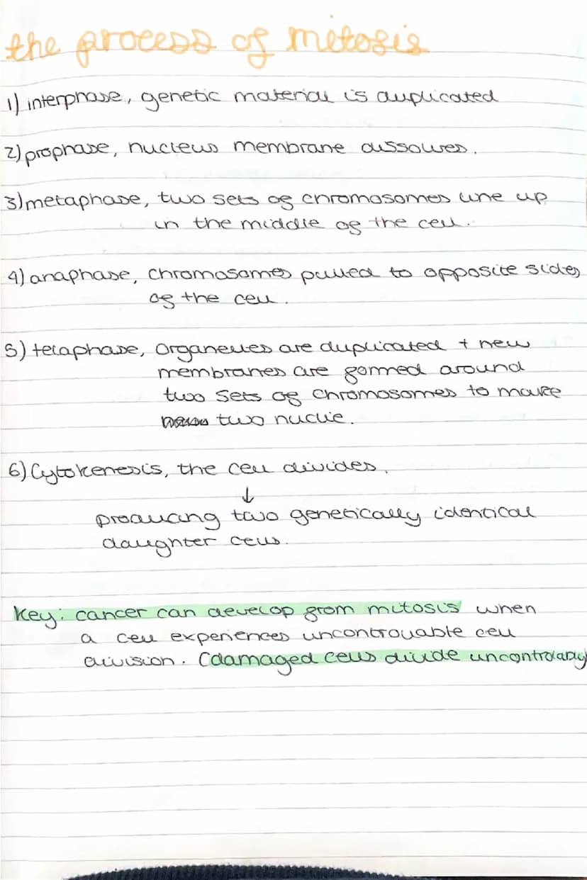 --- OCR Start ---
BIOLOGY
light microscopes
cheap to make
paper I
balows you to see the outlines of the cells
Electron microscopes
4 visuali