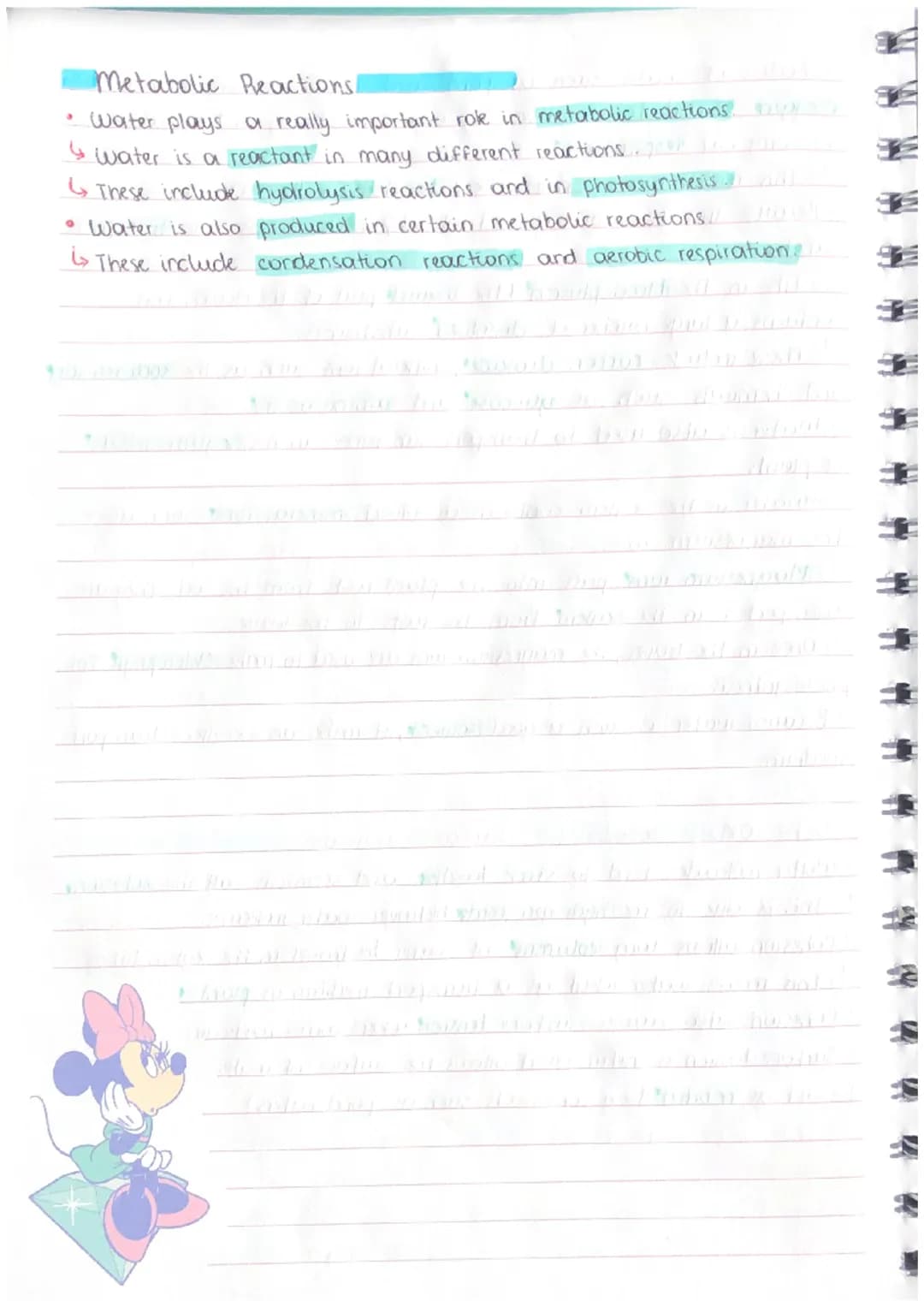 BIOLOGICAL MOLECULES
covalent
bond O
●
PROPERTIES & ROLES OF WATER
small
negative charge D
+ H Hi chemically borded to two atoms of hydrogen