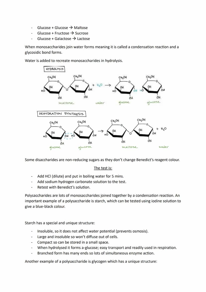 Types of bonding:
Covalent bonding
lonic bonding
Hydrogen bonding
Monomers and Polymers:
Monomers become polymers in a process called polyme