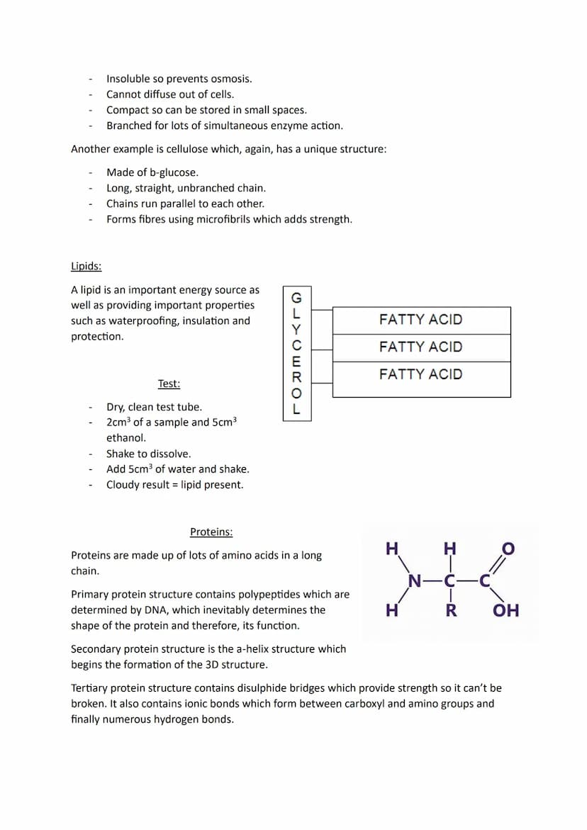 Types of bonding:
Covalent bonding
lonic bonding
Hydrogen bonding
Monomers and Polymers:
Monomers become polymers in a process called polyme