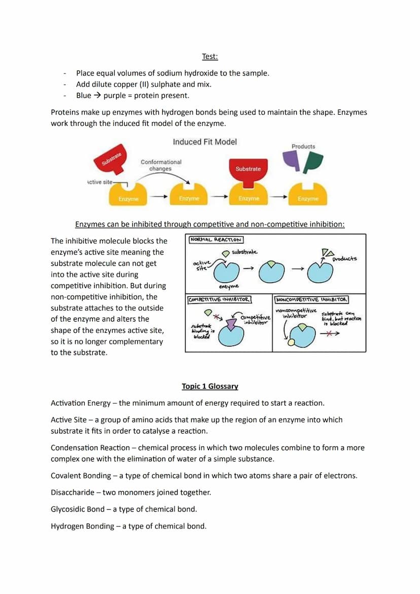 Types of bonding:
Covalent bonding
lonic bonding
Hydrogen bonding
Monomers and Polymers:
Monomers become polymers in a process called polyme
