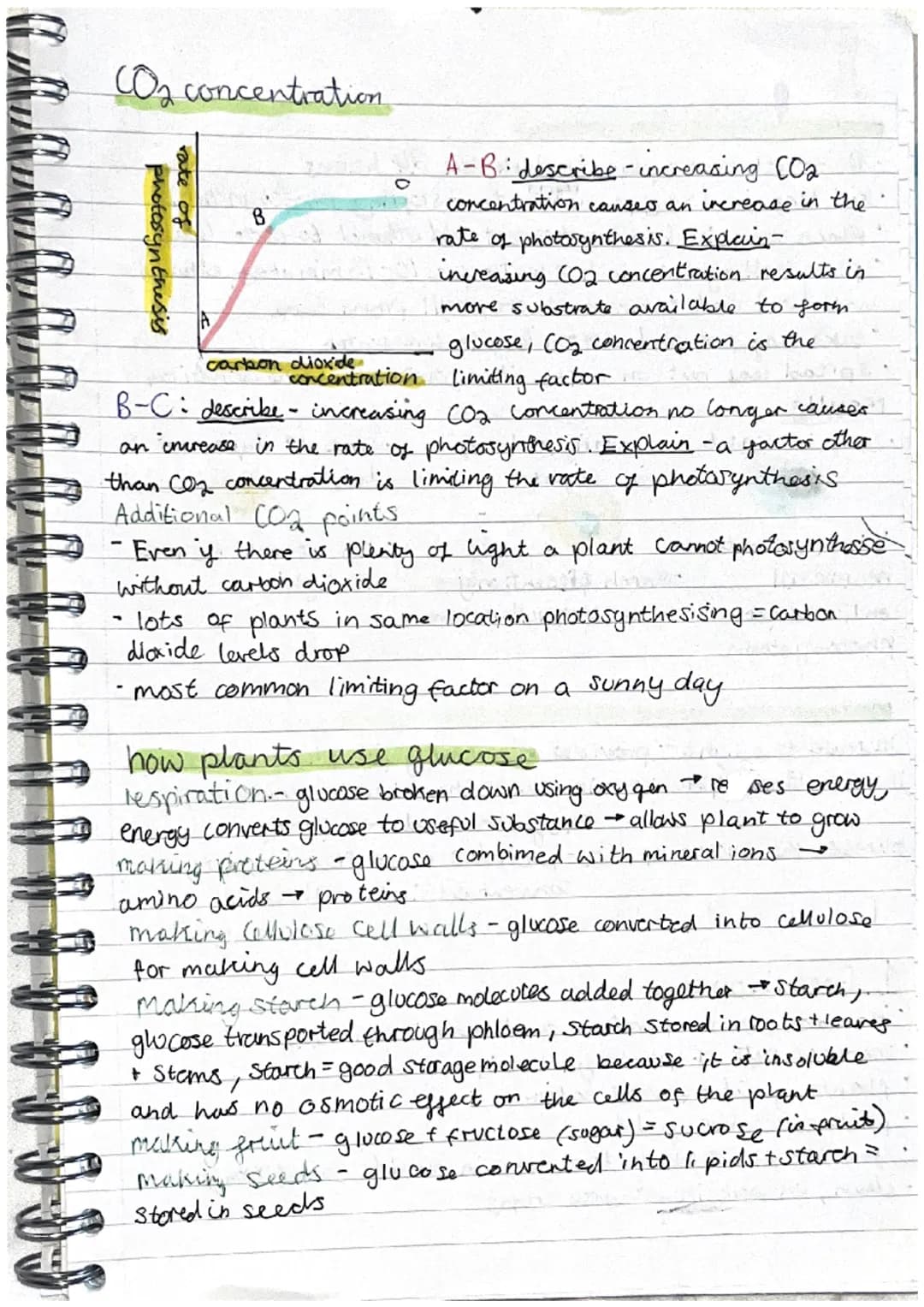 B8
I oxygen is produced
as a waste gas as
by- product of
Photosynthesis
$
H.U.N.
a
Photosynthesis
water is absorbed
by Osmosis in root
hair 