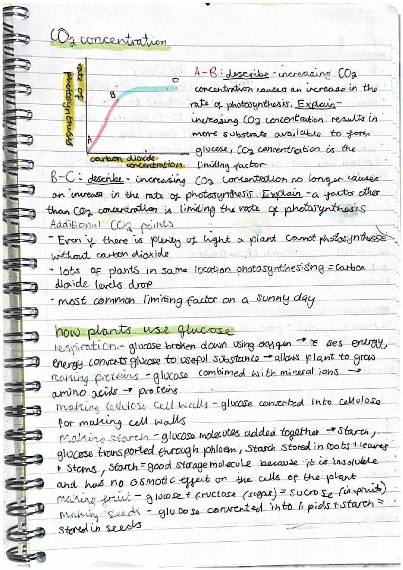 B8
I oxygen is produced
as a waste gas as
by- product of
Photosynthesis
$
H.U.N.
a
Photosynthesis
water is absorbed
by Osmosis in root
hair 