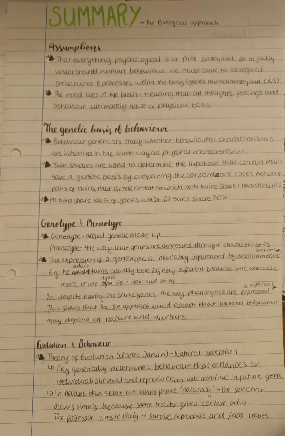 Biological Approach in Psychology: Examples, Studies, and Key Points
