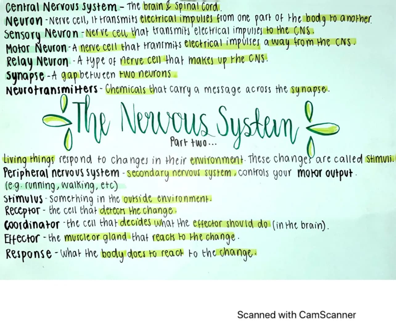 The Nervous system is an Organ system that enables organisms to react to
their environments and to coordinate their behaviour.
The coordinat