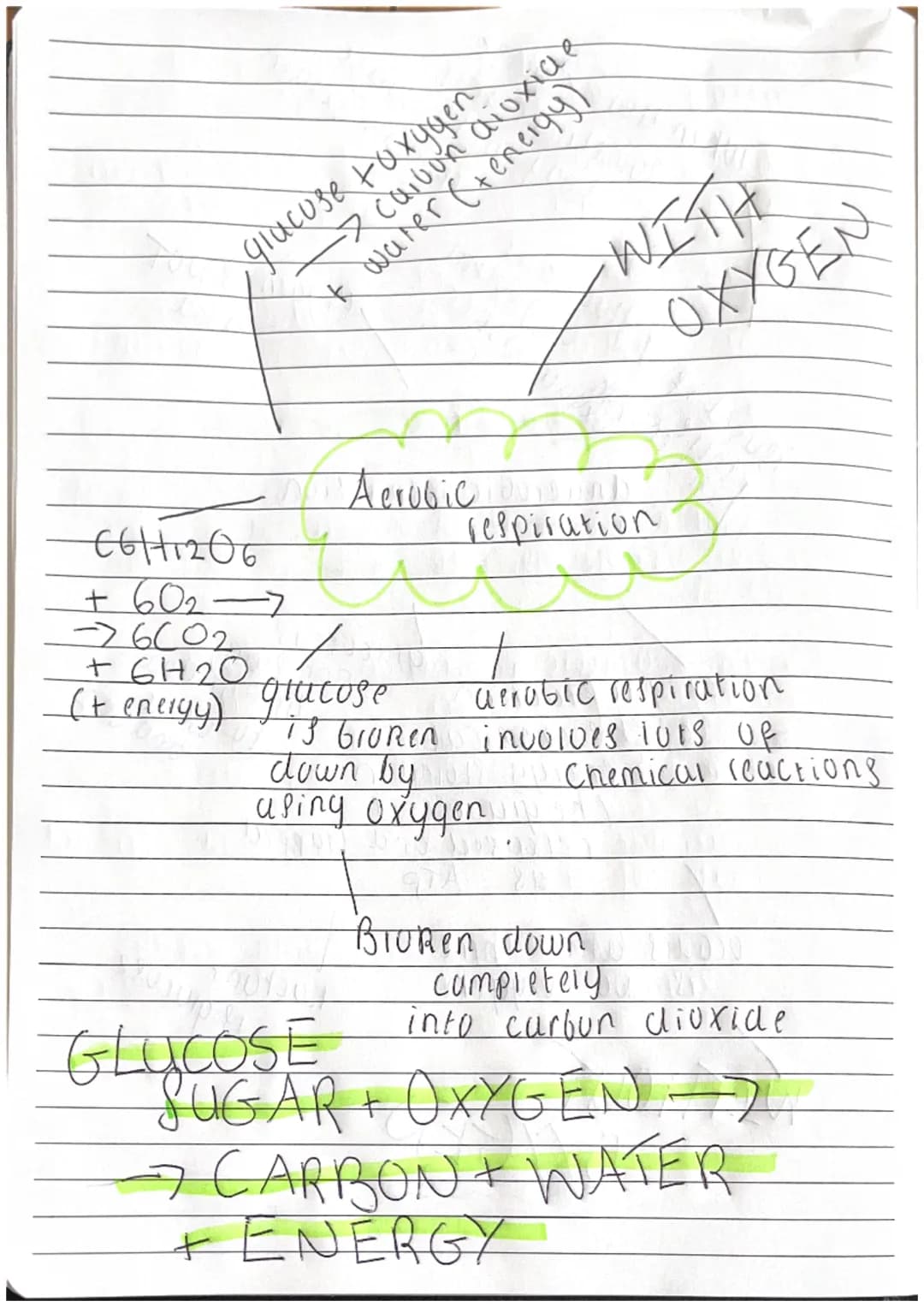 giacuse Foxygen.
* water (+energy)
-> cavon dioxide
C6H12O6
+60₂
-6(02
+6120
+
(+ energy) glucose
Aerobic Loung
respiration
#
13 GIOREN
WITH