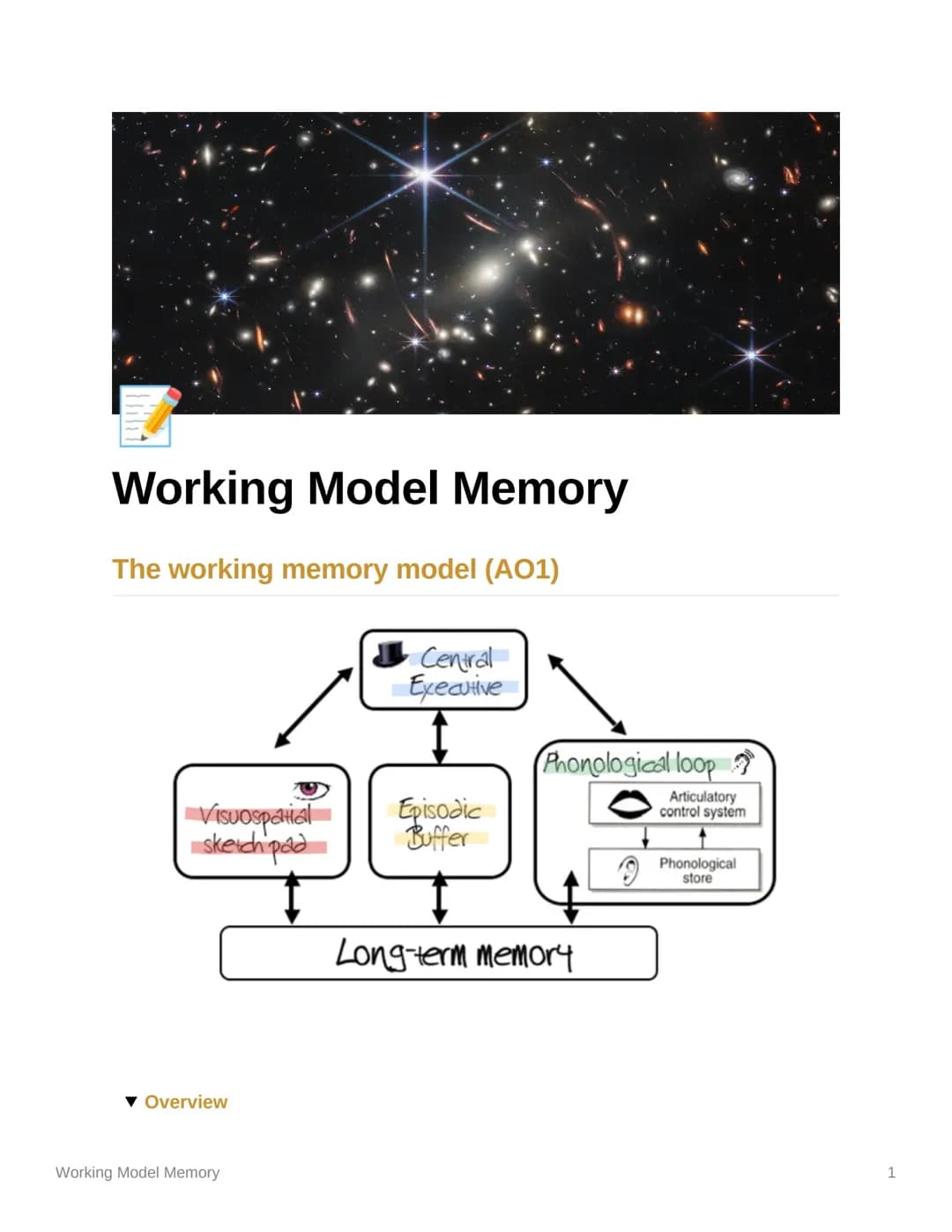 Discover How Your Brain's Memory Workers Do Their Job
