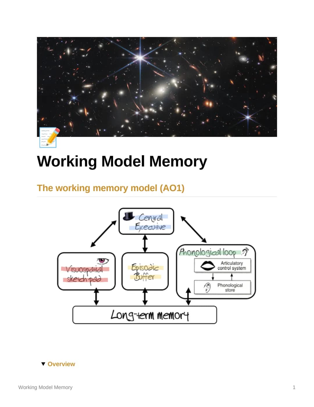 Working Model Memory
The working memory model (AO1)
VISUOSpatial
sketch pad
▼ Overview
Working Model Memory
Central
Executive
Episodic
Buffe