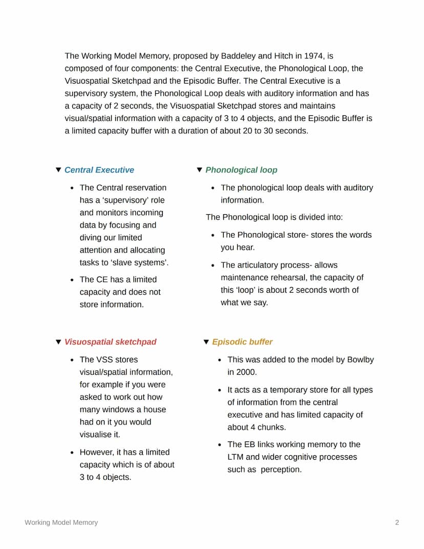 Working Model Memory
The working memory model (AO1)
VISUOSpatial
sketch pad
▼ Overview
Working Model Memory
Central
Executive
Episodic
Buffe