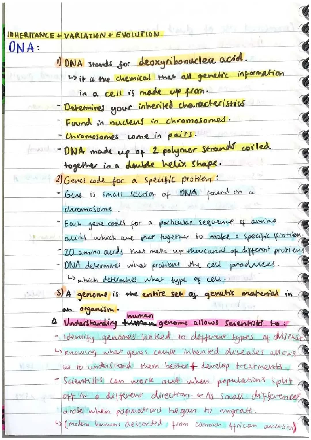 Ultimate GCSE Biology Notes on Inheritance, Variation, and Evolution - AQA