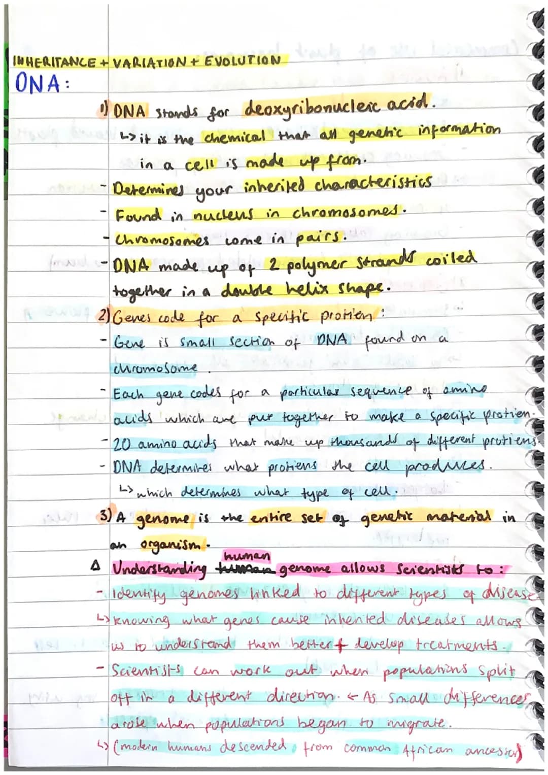 INHERITANCE
ONA:
+ VARIATION + EVOLUTION
1) DNA stands for deoxyribonucleic acid.
L> it is the chemical that all genetic information.
in a c