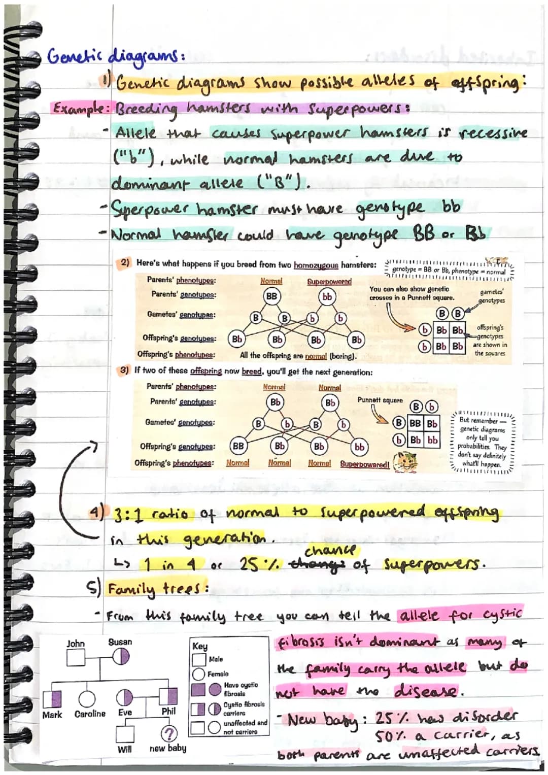 INHERITANCE
ONA:
+ VARIATION + EVOLUTION
1) DNA stands for deoxyribonucleic acid.
L> it is the chemical that all genetic information.
in a c