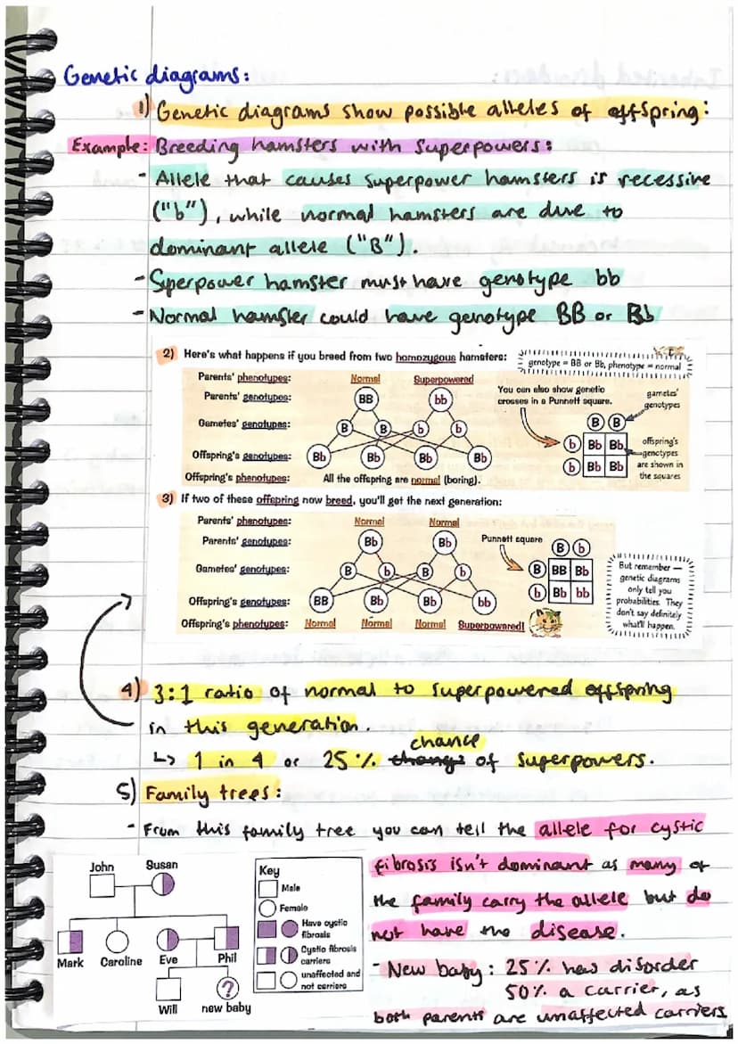 INHERITANCE
ONA:
+ VARIATION + EVOLUTION
1) DNA stands for deoxyribonucleic acid.
L> it is the chemical that all genetic information.
in a c