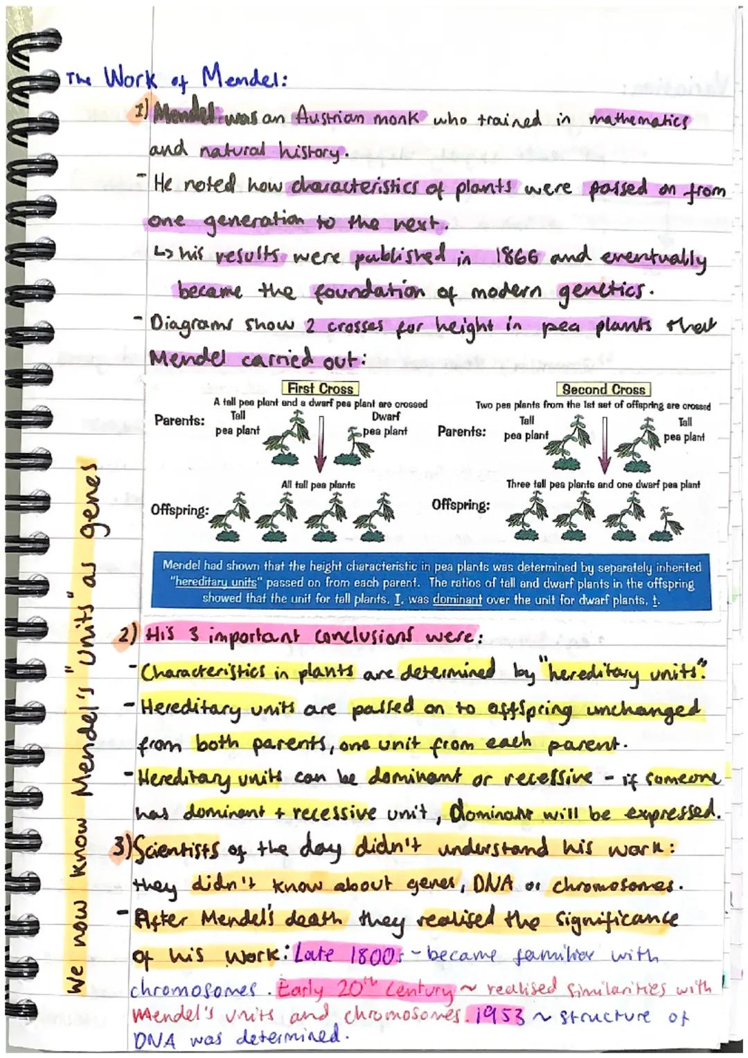 INHERITANCE
ONA:
+ VARIATION + EVOLUTION
1) DNA stands for deoxyribonucleic acid.
L> it is the chemical that all genetic information.
in a c