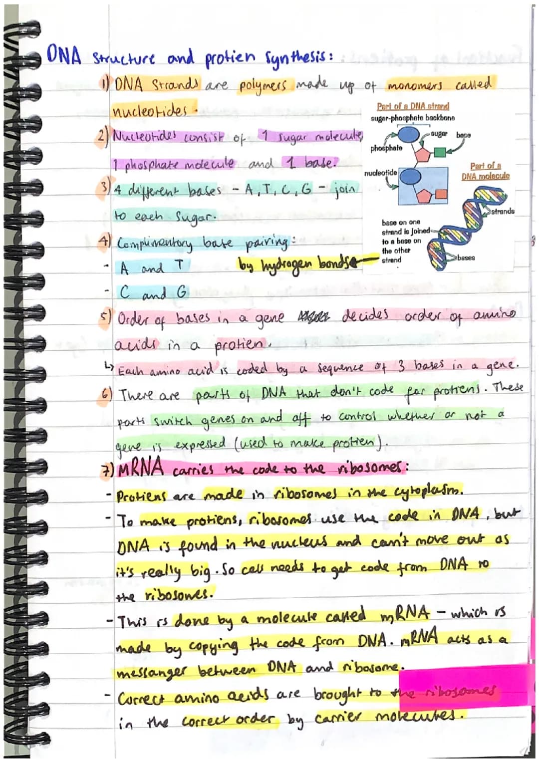 INHERITANCE
ONA:
+ VARIATION + EVOLUTION
1) DNA stands for deoxyribonucleic acid.
L> it is the chemical that all genetic information.
in a c