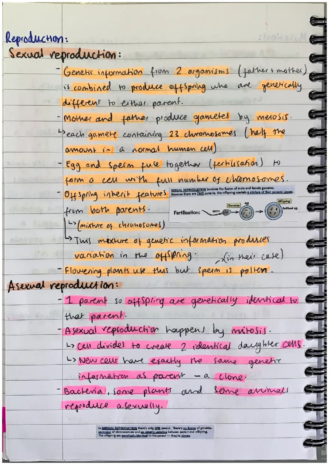 INHERITANCE
ONA:
+ VARIATION + EVOLUTION
1) DNA stands for deoxyribonucleic acid.
L> it is the chemical that all genetic information.
in a c