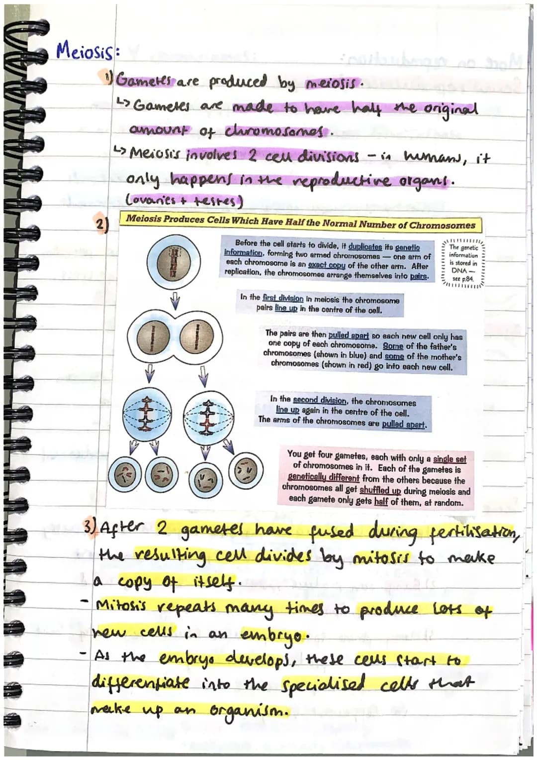 INHERITANCE
ONA:
+ VARIATION + EVOLUTION
1) DNA stands for deoxyribonucleic acid.
L> it is the chemical that all genetic information.
in a c