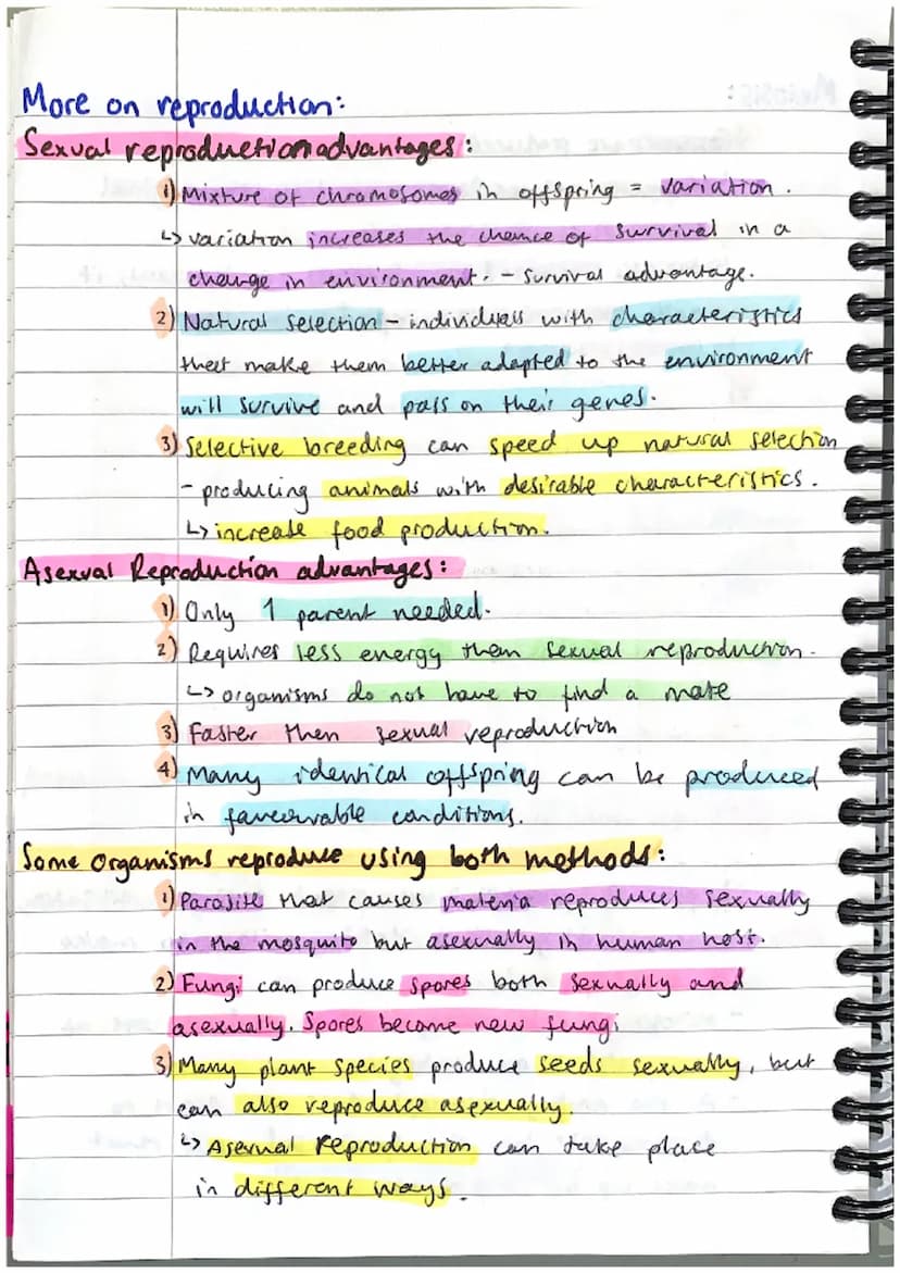 INHERITANCE
ONA:
+ VARIATION + EVOLUTION
1) DNA stands for deoxyribonucleic acid.
L> it is the chemical that all genetic information.
in a c