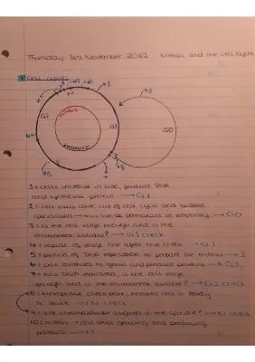 Know Mitosis and The Cell Cycle thumbnail