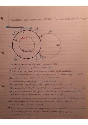 Know Mitosis and The Cell Cycle thumbnail