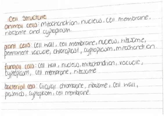 Know NAT5 First Unit Flashcards  thumbnail