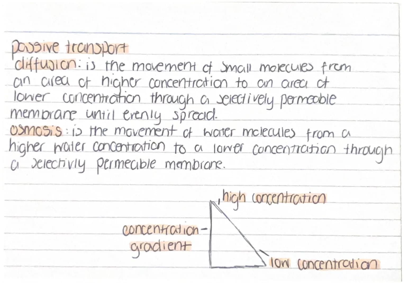 Cell Structure
animal cells: Mitochondrion, nuclews, cell membrane.
ribosome and cyproploom.
plant cells: Cell wall, cell membrane, nuclew, 