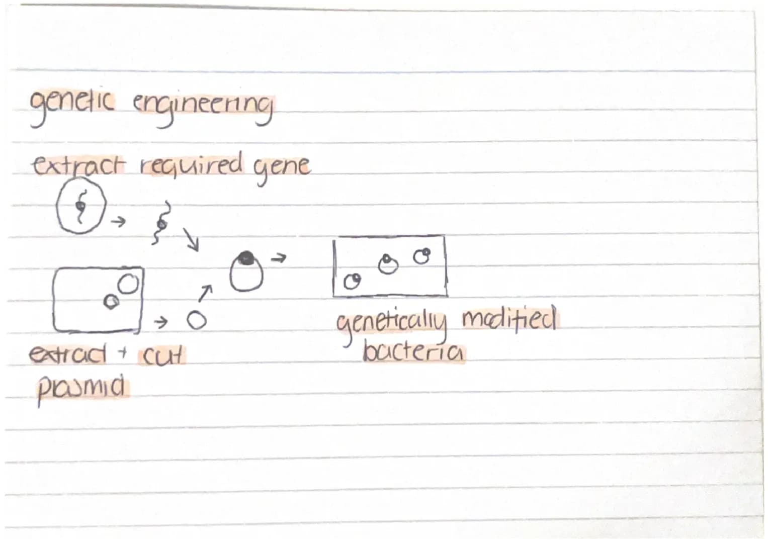 Cell Structure
animal cells: Mitochondrion, nuclews, cell membrane.
ribosome and cyproploom.
plant cells: Cell wall, cell membrane, nuclew, 