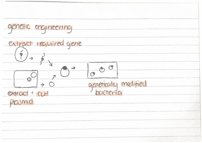 Cell Structure
animal cells: Mitochondrion, nuclews, cell membrane.
ribosome and cyproploom.
plant cells: Cell wall, cell membrane, nuclew, 