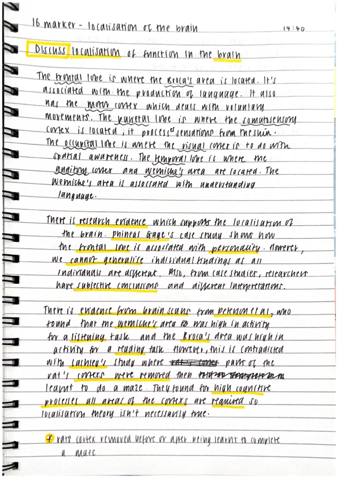 16 Marker- Discuss localisation of function in the brain 