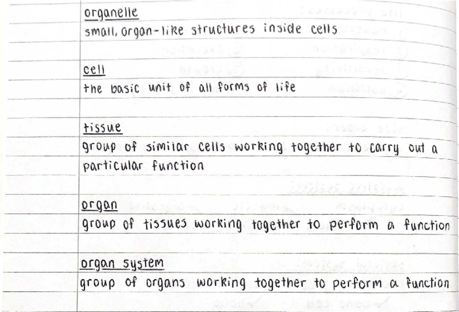 organelle
small, organ-like structures inside cells
cell
the basic unit of all forms of life.
tissue
group of similar Cells Working together
