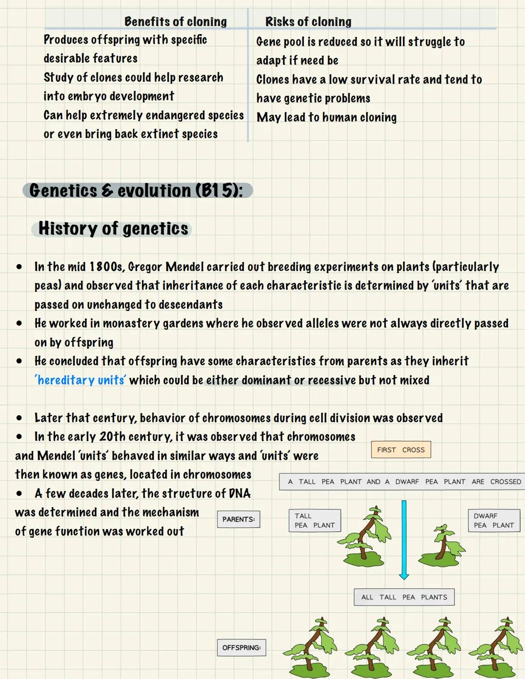 <h2 id="geneticsandreproductioninbiology">Genetics and Reproduction in Biology</h2>
<p>Reproduction (B1 3):</p>
<h3 id="typesofreproduction"