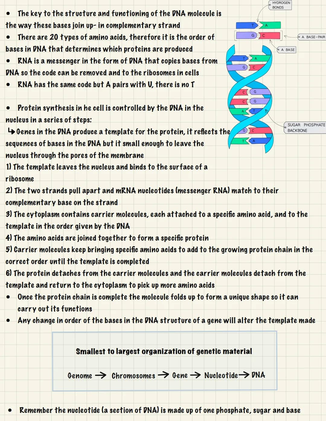 <h2 id="geneticsandreproductioninbiology">Genetics and Reproduction in Biology</h2>
<p>Reproduction (B1 3):</p>
<h3 id="typesofreproduction"